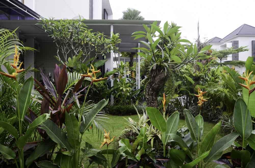 Selemadeg Beluran Serene Guesthouse מראה חיצוני תמונה