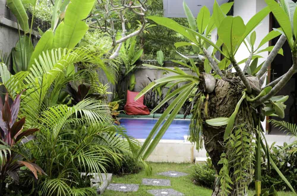Selemadeg Beluran Serene Guesthouse מראה חיצוני תמונה